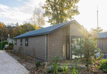 Velthorst-lodge med træbeklædning, store vinduer og en grøn have, omgivet af træer og stier, i sollys.