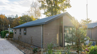 Lodge Velthorst en bois avec grandes fenêtres, jardin et arbres autour, baigné de soleil et sentiers gravelés.