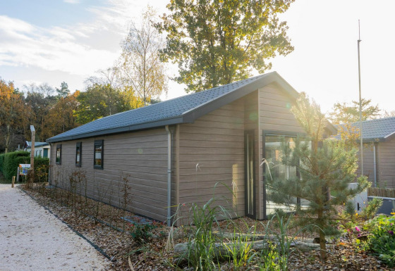 Lodge Velthorst en bois avec grandes fenêtres, jardin et arbres autour, baigné de soleil et sentiers gravelés.