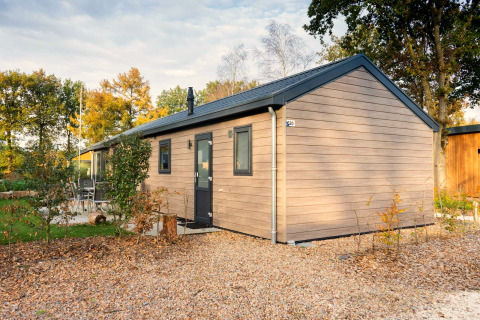 Lodge Velthorst moderne à De Wije Werelt aux Pays-Bas, entouré d’arbres et de paysage automnal.