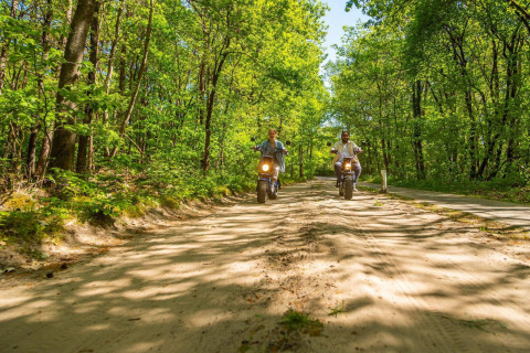 Dos personas pasean en scooter por un camino soleado en el bosque, rodeados de árboles verdes frondosos.