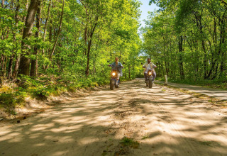 Two people ride scooters through a sunny forest path surrounded by lush green trees at a glamping site.