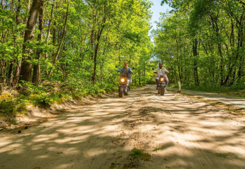 Deux personnes roulent en scooter sur un chemin en forêt ensoleillée, entourées d'arbres verts luxuriants.