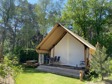 Safari-style glamping tent with covered patio and chairs, surrounded by lush trees and sunlight.