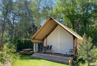 Safari-style glamping tent with covered patio and chairs, surrounded by lush trees and sunlight.