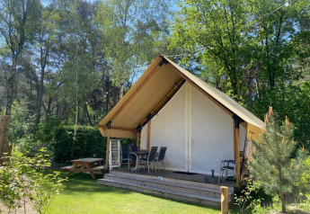 Safari-style glamping tent with covered patio and chairs, surrounded by lush trees and sunlight.
