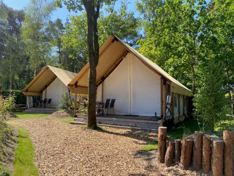 Deux tentes safari glamping avec terrasse dans une forêt verdoyante, idéales pour un séjour campement chic.