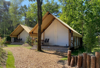 Dos tiendas safari glamping con porche situadas en un bosque verde, ideal para acampar con lujo y confort.
