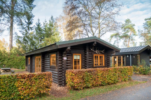 Foto van een sfeervolle houten Boekhorst-lodge, omgeven door heggen en hoge bomen in een rustige omgeving.