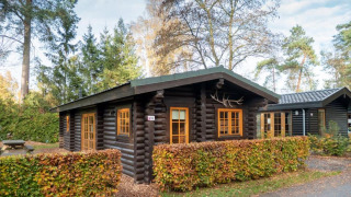 Photo of a cozy wooden Boekhorst lodge, surrounded by hedges and tall trees in a serene setting.