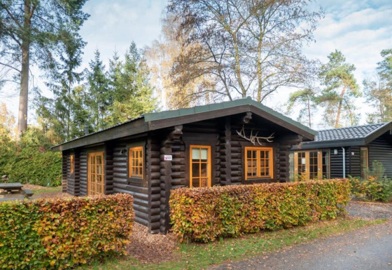 Afbeelding van een gezellige Boekhorst-houten lodge, omringd door hagen en hoge bomen tussen het groen.