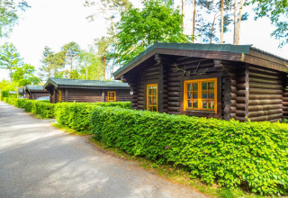 Houten chalets met groene hagen aan lodge Boekhorst bij De Wije Werelt in Nederland, zonnige dag.