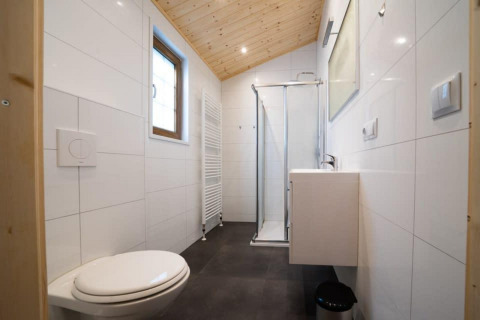 Baño moderno en la cabaña Boekhorst de De Wije Werelt, Países Bajos, con ducha de vidrio y techo de madera.