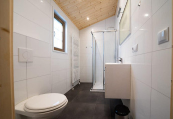 Modern bathroom at Boekhorst lodge, De Wije Werelt, Netherlands, with a glass shower and wooden ceiling.
