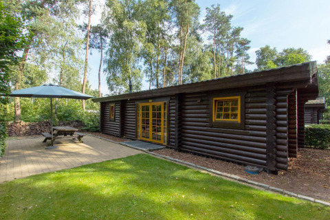 Vue extérieure d’un chalet Boekhorst à De Wije Werelt aux Pays-Bas, avec terrasse, banc et parasol.