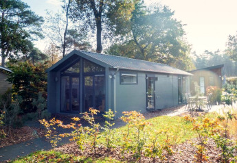Die Berkel-Lodge inmitten eines bewaldeten Gebiets mit großen Fenstern und einladender Außenterrasse.