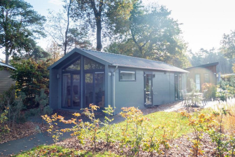 Lodge moderne Berkel situé en pleine forêt, grandes baies vitrées et terrasse extérieure ensoleillée.
