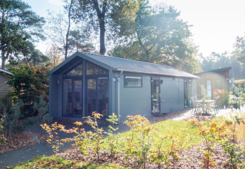Lodge moderne Berkel situé en pleine forêt, grandes baies vitrées et terrasse extérieure ensoleillée.