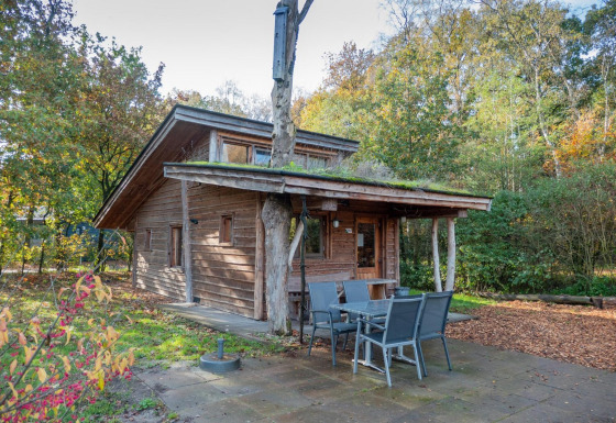 Foto di Nature Lodge, accogliente baita in legno con tavolo esterno, immersa in una foresta verde.