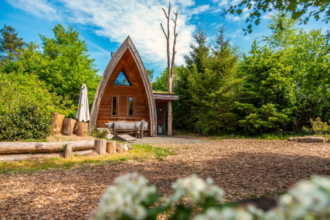 La tiny house Van Gogh entourée d’arbres verts et d’un ciel bleu clair, parfaite pour un séjour nature.