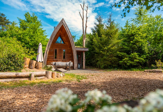 La tiny house Van Gogh entourée d’arbres verts et d’un ciel bleu clair, parfaite pour un séjour nature.