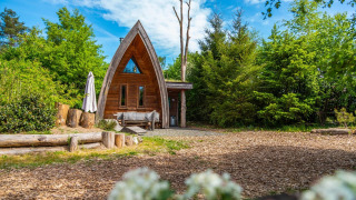 La tiny house Van Gogh entourée d’arbres verts et d’un ciel bleu clair, parfaite pour un séjour nature.