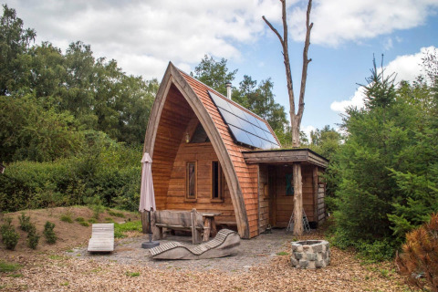 Pequeña casa de madera con paneles solares y techo curvado rodeada de naturaleza en De Wije Werelt, Países Bajos.
