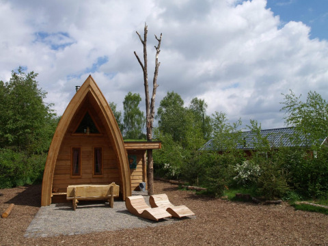 Tiny house genaamd Van Gogh bij De Wije Werelt in Nederland, omgeven door bomen en houten tuinmeubilair.