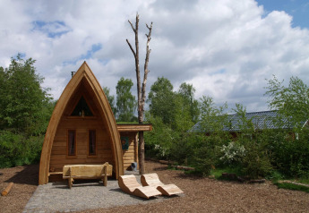 Pequeña casa llamada Van Gogh en De Wije Werelt, Países Bajos, rodeada de árboles y cielo nublado.