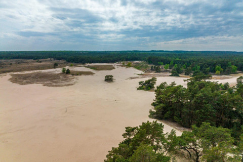 Vista de dunas de arena y árboles cerca de la tiny house Van Gogh en De Wije Werelt, Países Bajos.