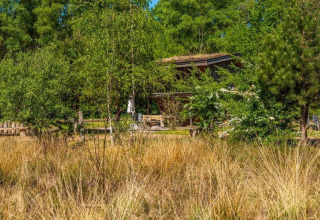 Afbeelding van kleine houten huisjes in het groen, omgeven door bomen, één huis met zonnepanelen.