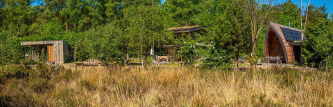 Photo de tiny houses en bois entourées de nature et d’arbres, avec un panneau solaire sur un toit.