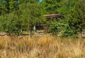Photo de tiny houses en bois entourées de nature et d’arbres, avec un panneau solaire sur un toit.