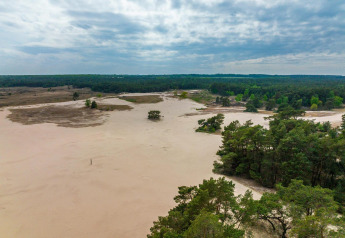 Vue sur les dunes et la forêt près de la tiny house Van Gogh à De Wije Werelt, Pays-Bas, sous ciel nuageux.