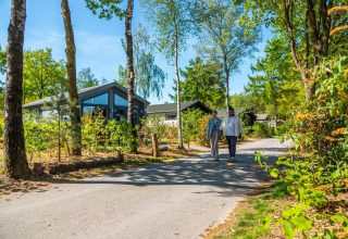 Una pareja camina frente a la Tiny House Van Gogh en De Wije Werelt, rodeados de árboles y vegetación en los Países Bajos.