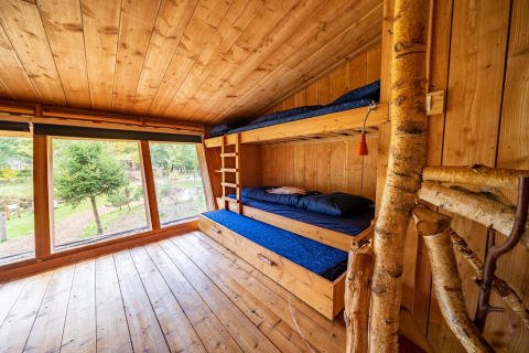 Habitación de madera con literas y grandes ventanales en Nature Lodge, De Wije Werelt, Países Bajos, vista natural.