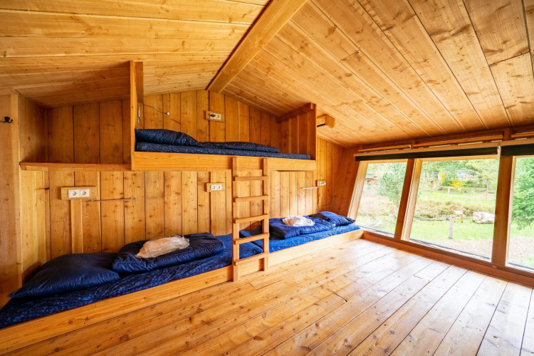 Houten interieur met stapelbedden en grote ramen bij Nature Lodge, De Wije Werelt in Nederland.