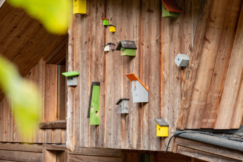 Nichoirs colorés sur un mur en bois à Nature Lodge, De Wije Werelt, aux Pays-Bas.