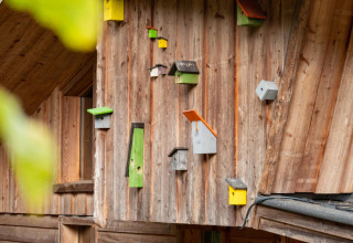 Kleurige vogelhuisjes aan een houten muur bij Nature Lodge, De Wije Werelt, in Nederland.