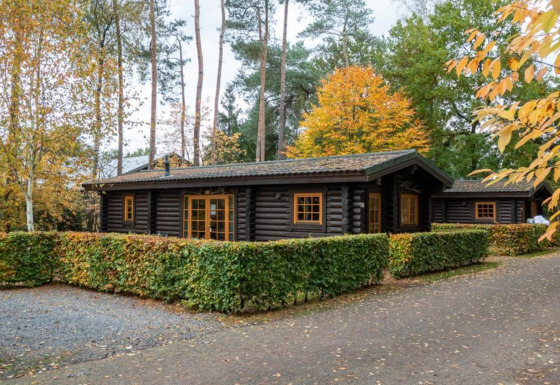 Chalet en bois Boekhorst Lodge entouré d’arbres colorés d’automne et de haies bien taillées.