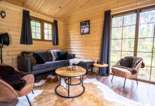 Acogedora sala de estar en la cabaña Boekhorst, De Wije Werelt, Países Bajos, con paredes de madera y ventanas grandes.