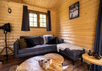 Cozy living room in a lodge at Boekhorst, De Wije Werelt, Netherlands, with wooden walls and a modern sofa.