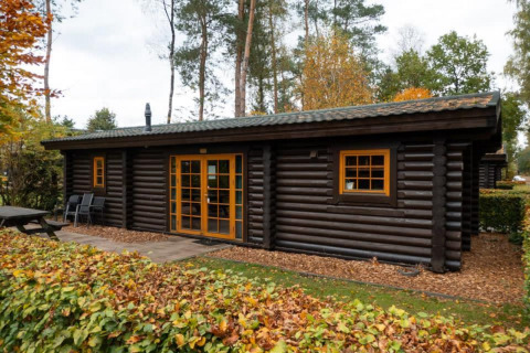 Knusse houten lodge Boekhorst in De Wije Werelt, Nederland, tussen herfstbomen en kleurrijk blad.