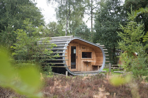 Pequeña casa llamada Boet en De Wije Werelt, Países Bajos, rodeada de vegetación y naturaleza.