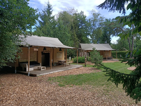 Two safari glamping tents with wooden decks surrounded by trees and grass on a peaceful campsite.
