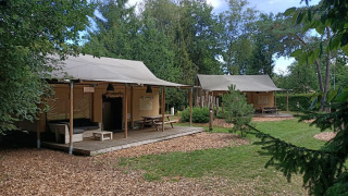 Deux tentes safari glamping avec terrasse en bois entourées d’arbres et de pelouse dans un camping.