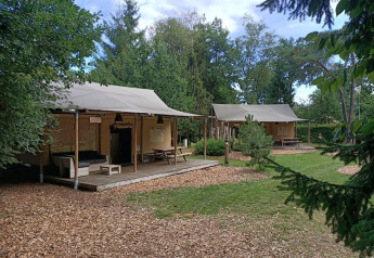Due tende safari glamping con veranda in legno circondate da alberi e prato in un campeggio naturale.