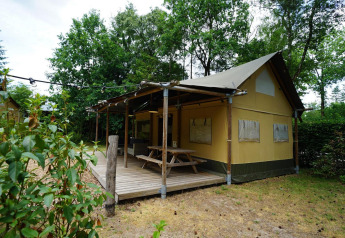 Safari glamping tent at De Wije Werelt in the Netherlands, surrounded by trees, with a wooden deck.