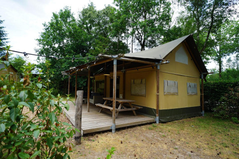 Tente safari glamping à De Wije Werelt aux Pays-Bas, entourée d'arbres et terrasse en bois.