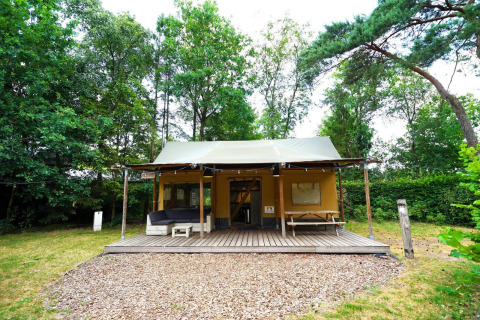 Tente safari glamping à De Wije Werelt aux Pays-Bas, entourée d’arbres et terrasse en bois devant.